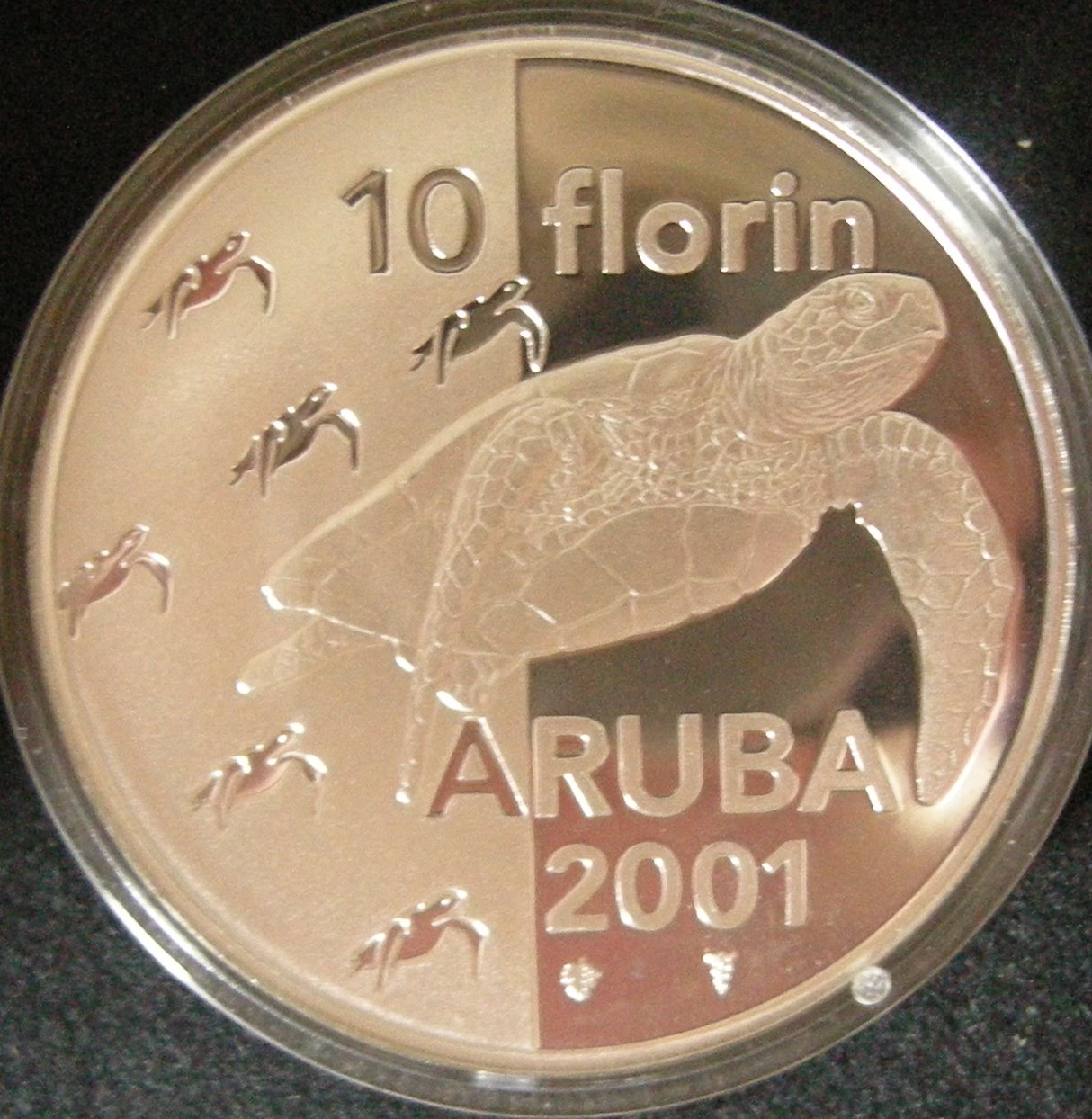 (afbeelding voor) 10 Florin 2001 Aruba Proof in capsuleSchildpadmunt