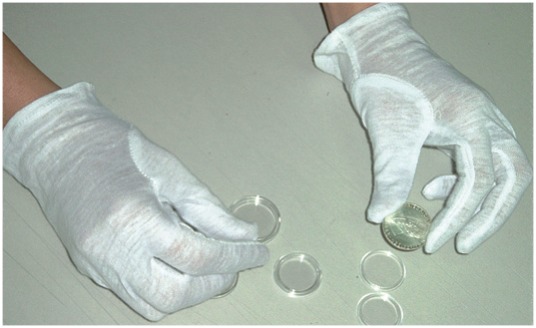 (afbeelding voor) Handschoenen van 100% Katoen